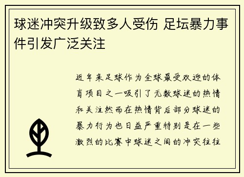 球迷冲突升级致多人受伤 足坛暴力事件引发广泛关注
